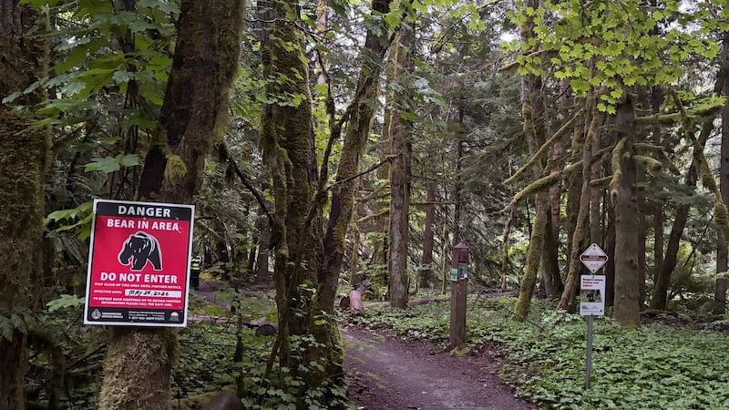 B.C. conservation officers close trails after man injured in black bear attack