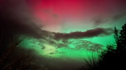 The northern lights are seen in Shelburne, N.S., on Nov. 11, 2025. (Submitted: Scott Nickerson)