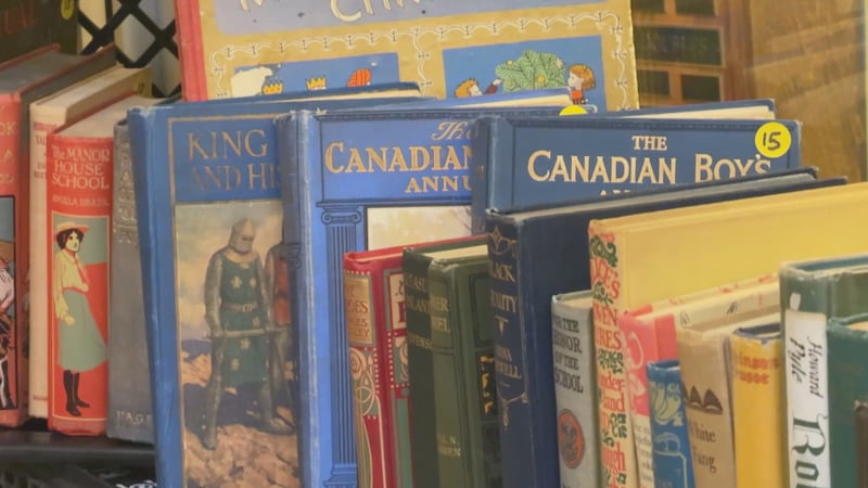 The Calgary Reads Big Book Sale is underway, with nearly 200,000 books up for grabs