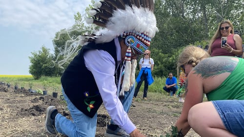 ‘It will look after us’: Cote First Nation opens berry farm