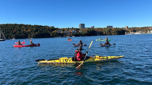 Paddlers dressed as witches are pictured on the water.