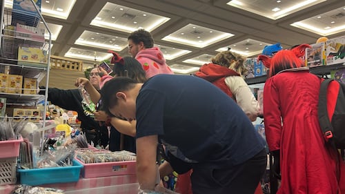 Fans search through vendor booths for the perfect find. (Avery MacRae/CTV News)