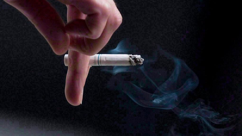 bayou discount tobacco Bayou Discount Tobacco - 12986 N Wintzell Avenue