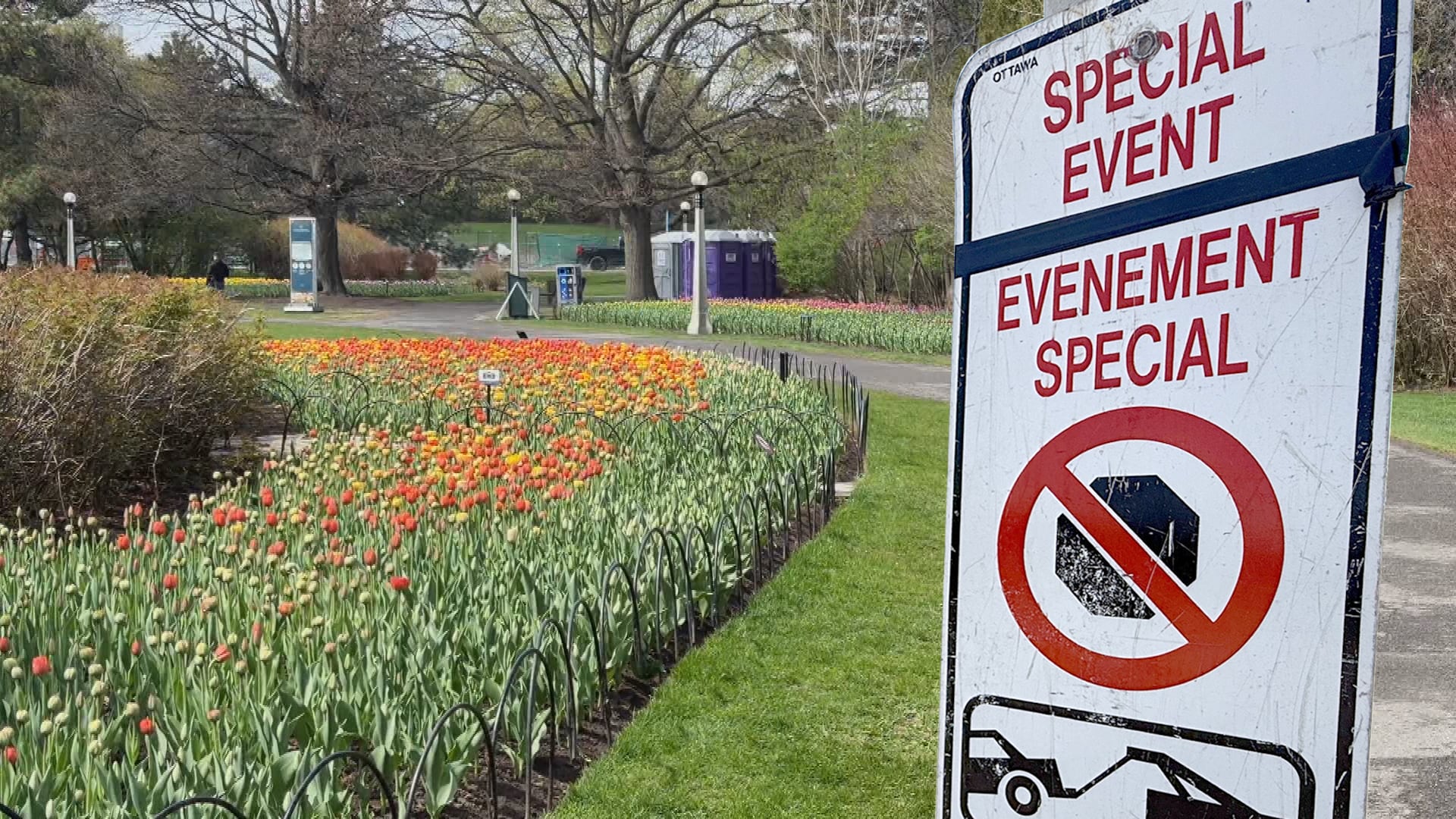 Watch the parking signs while visiting the Canadian Tulip Festival