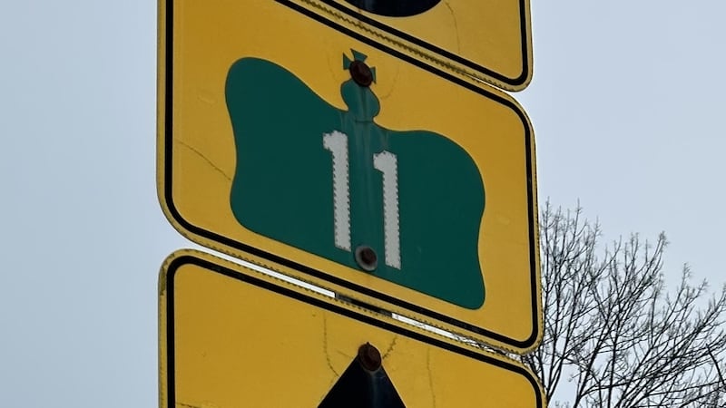 One person seriously injured after crash on Highway 11