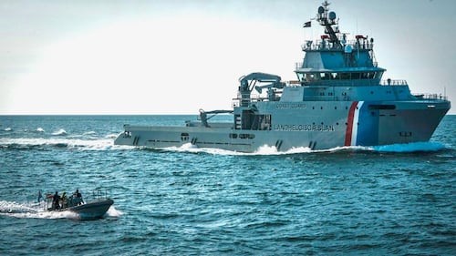 Deported Canadian activist calls anti-whaling mission a success despite ship capture