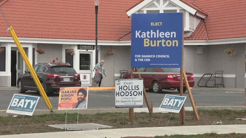 When two elections collide: Baffling number of election signs as B.C. heads to the polls