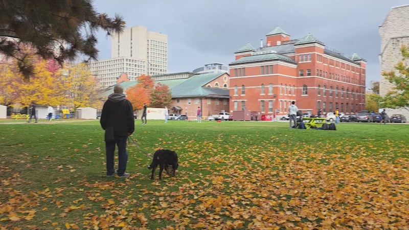 Morning showers, afternoon sunshine expected in Ottawa on Monday