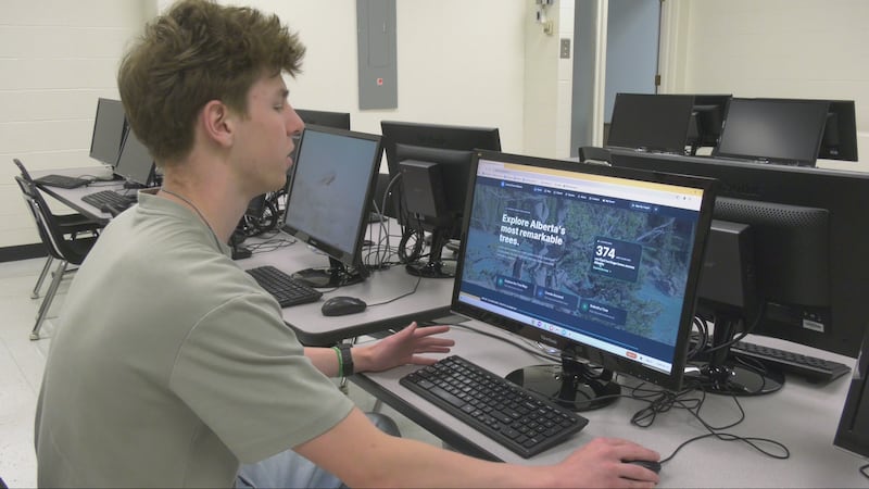 ‘A living record’: Edmonton student wins $100K scholarship for creating tree tracking website