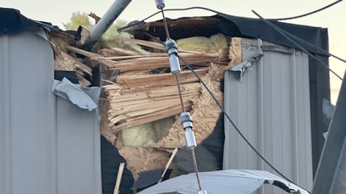 The Telus tower near Daysland, Alta. was vandalised on Dec. 21, 2025. (Source: Telus)