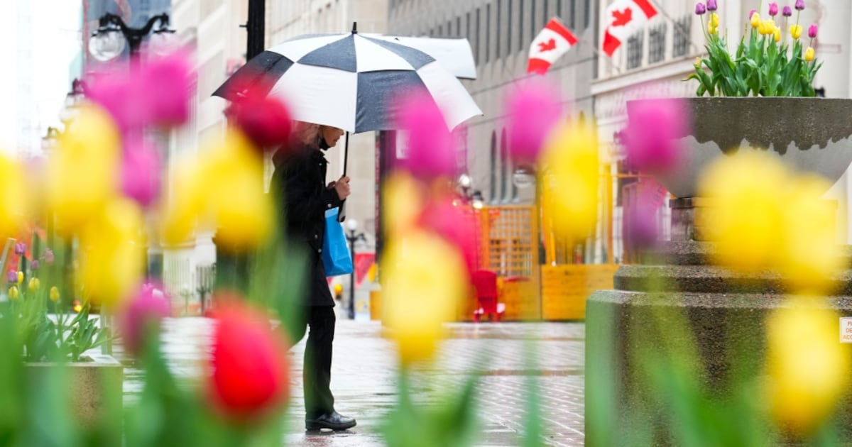 Is spring finally here?