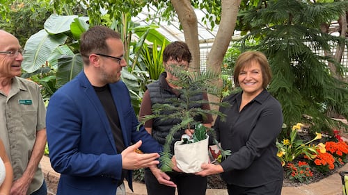 Regina Floral Conservatory. Oct. 2, 2026. (Gareth Dillistone/CTV News)