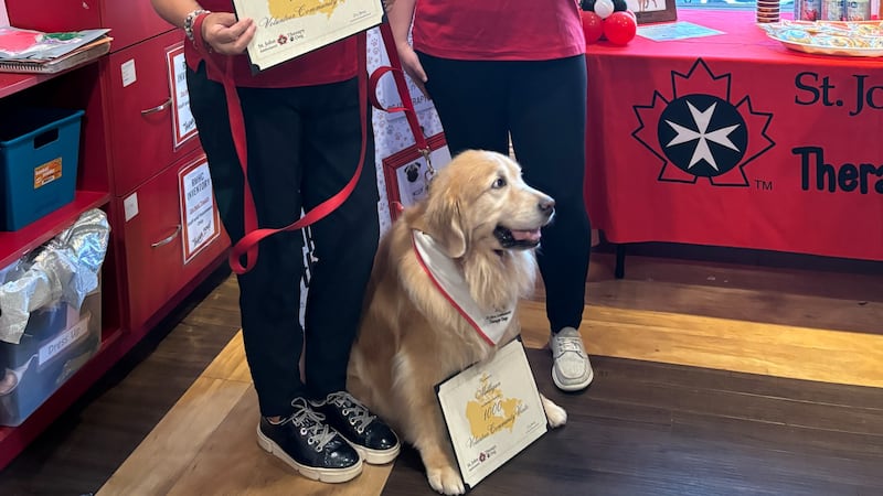 Therapy dog reaches 1,000 visits, first in southwestern Ontario