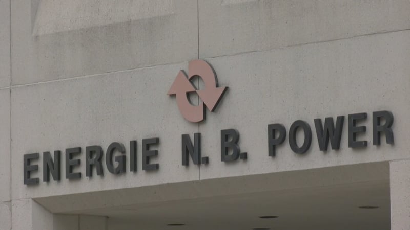 Thousands of New Brunswickers now paying more after opting out of smart meters