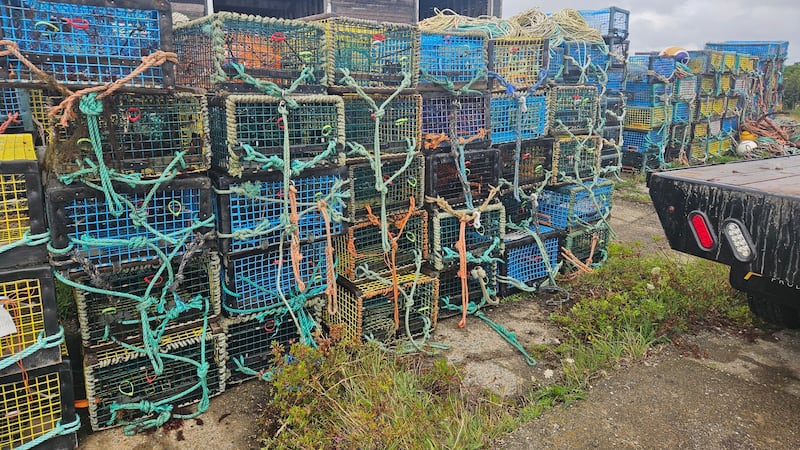 Fisheries officers arrest two on fishing vessel, release nearly 500 lobsters