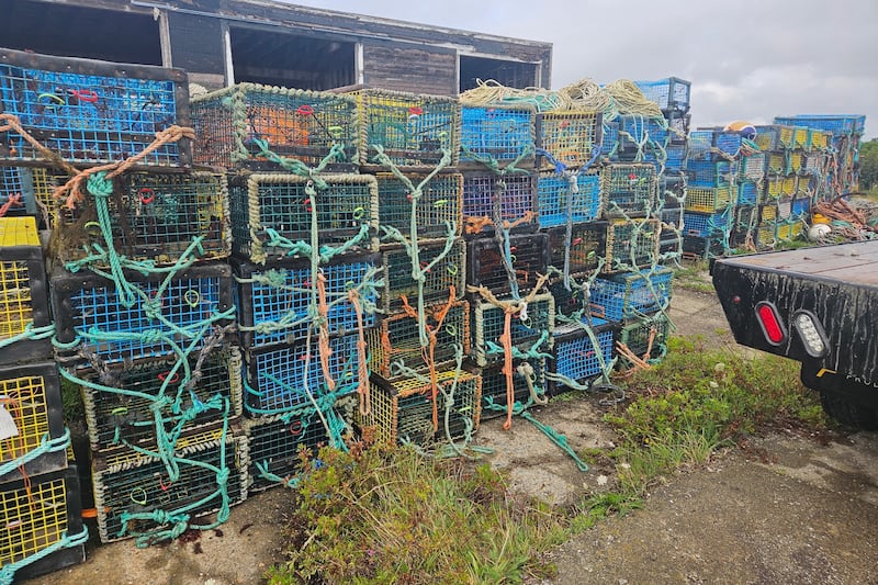Fisheries officers arrest two on fishing vessel, release nearly 500 lobsters