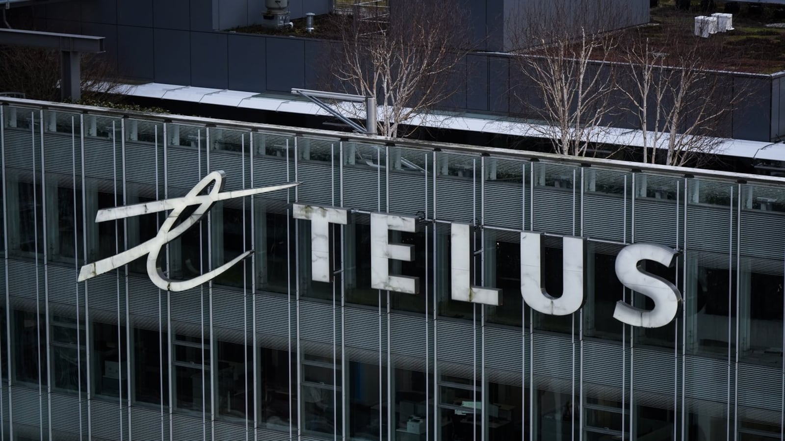 Idregarde Some Telus customers told to disregard data breach email