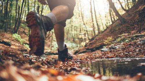 Ottawa-area hiking: Four tips and four trails to try out this summer