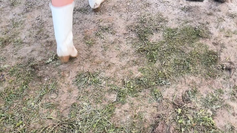 Festival operations closed at Boots and Hearts due to weather