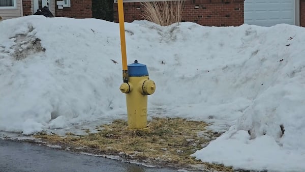 Ottawa Fire Services recognizes ‘Hydrant Hero’