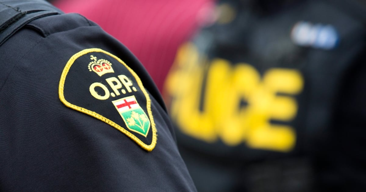 Opp Court OPP commissioner asks court to force investigation into successor's hiring