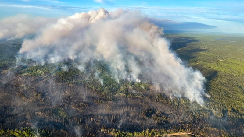 Alberta adds 10% more firefighters for 2026 wildfire season