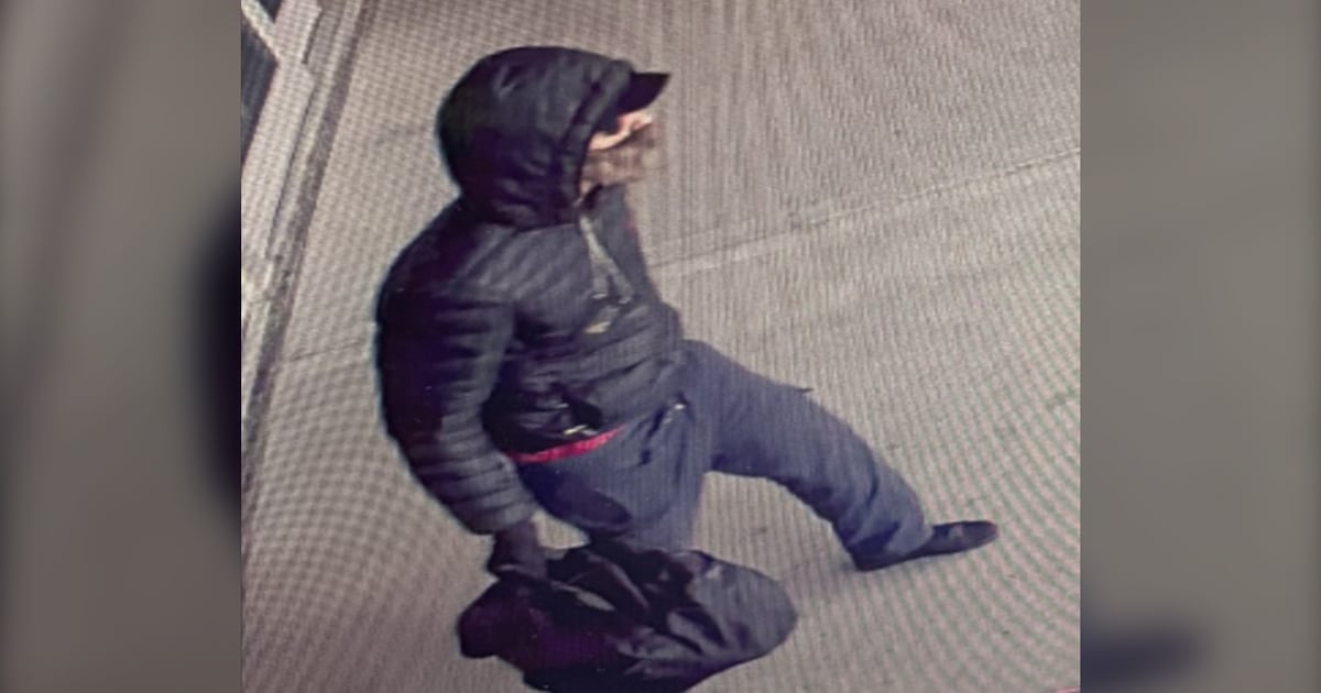 Police search for armed suspect after jewelry store robbery at Brantford mall