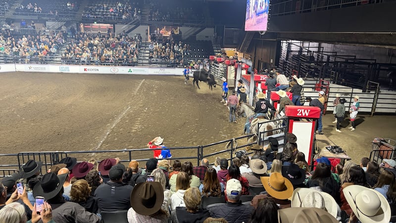 Bull-y for you: Bull riding, fighting event at Canadian Country Expo