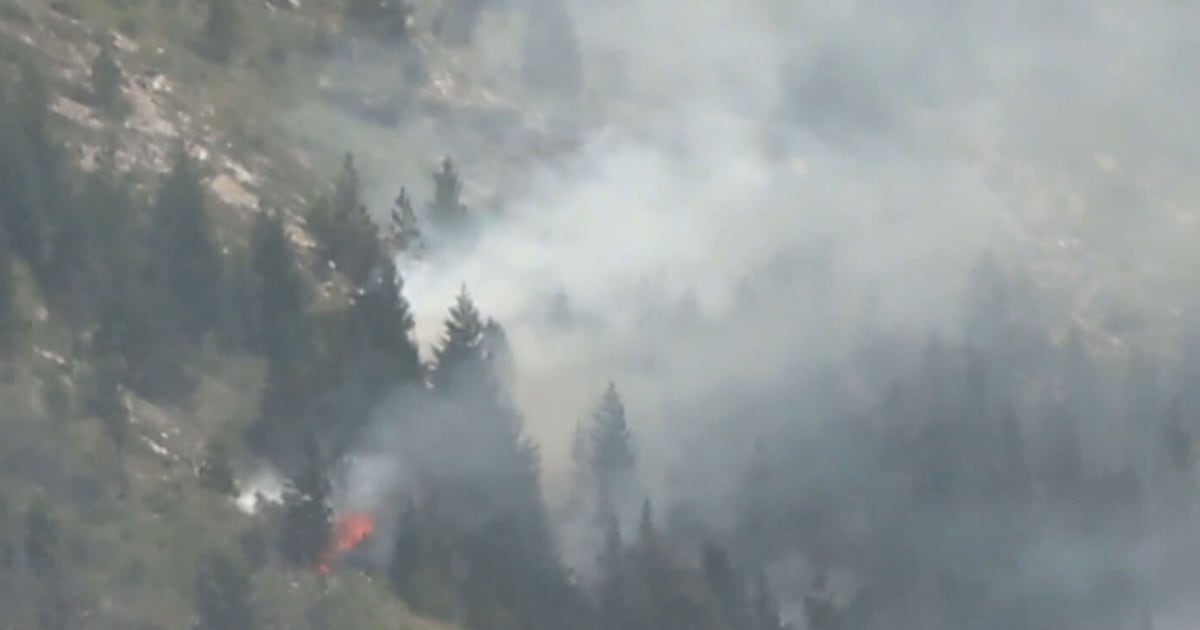 ‘It's its own monster': Harrowing escape detailed by B.C. senior whose home destroyed by wildfire