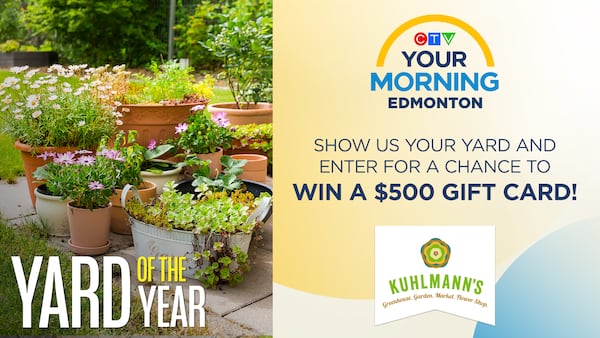 Winner gets a $500 Kuhlmann's gift card and bragging rights