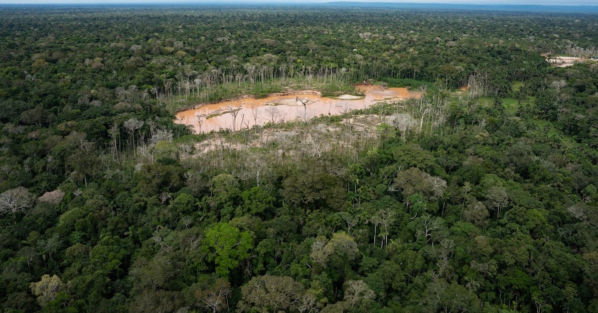 Deforestation from illegal mining is visible in the Tambopata National Reserve in Puerto Maldonado, Peru, Aug. 11, 2026. (AP Photo/Guadalupe Pardo)