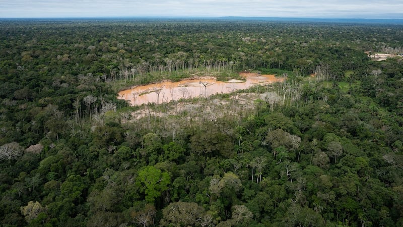 Peru faces human rights court over protections for isolated Indigenous peoples in Amazon