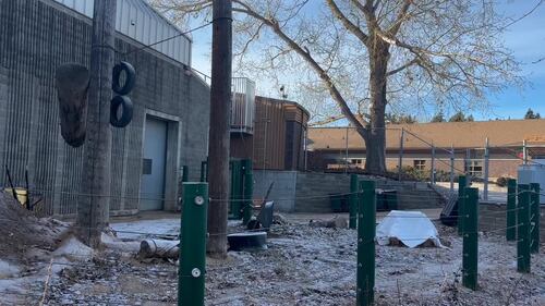 The Edmonton Valley Zoo announced a plan for the next 15 years. Nov. 24, 2025. (Sasha Pietramala/CTV News Edmonton)