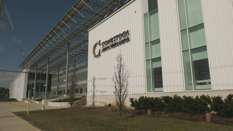 Administrator appointed to Conestoga College after audit uncovers ‘egregious financial decisions’