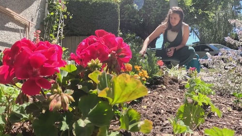 ‘I was in tears the entire time I wrote it’: B.C. widow pens letter to plant thief