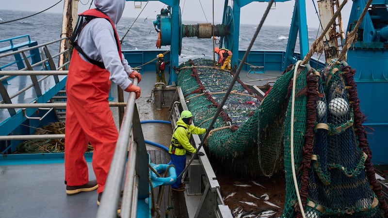 The fish behind America’s fish sticks is fuelling a fight over trawling in Alaska