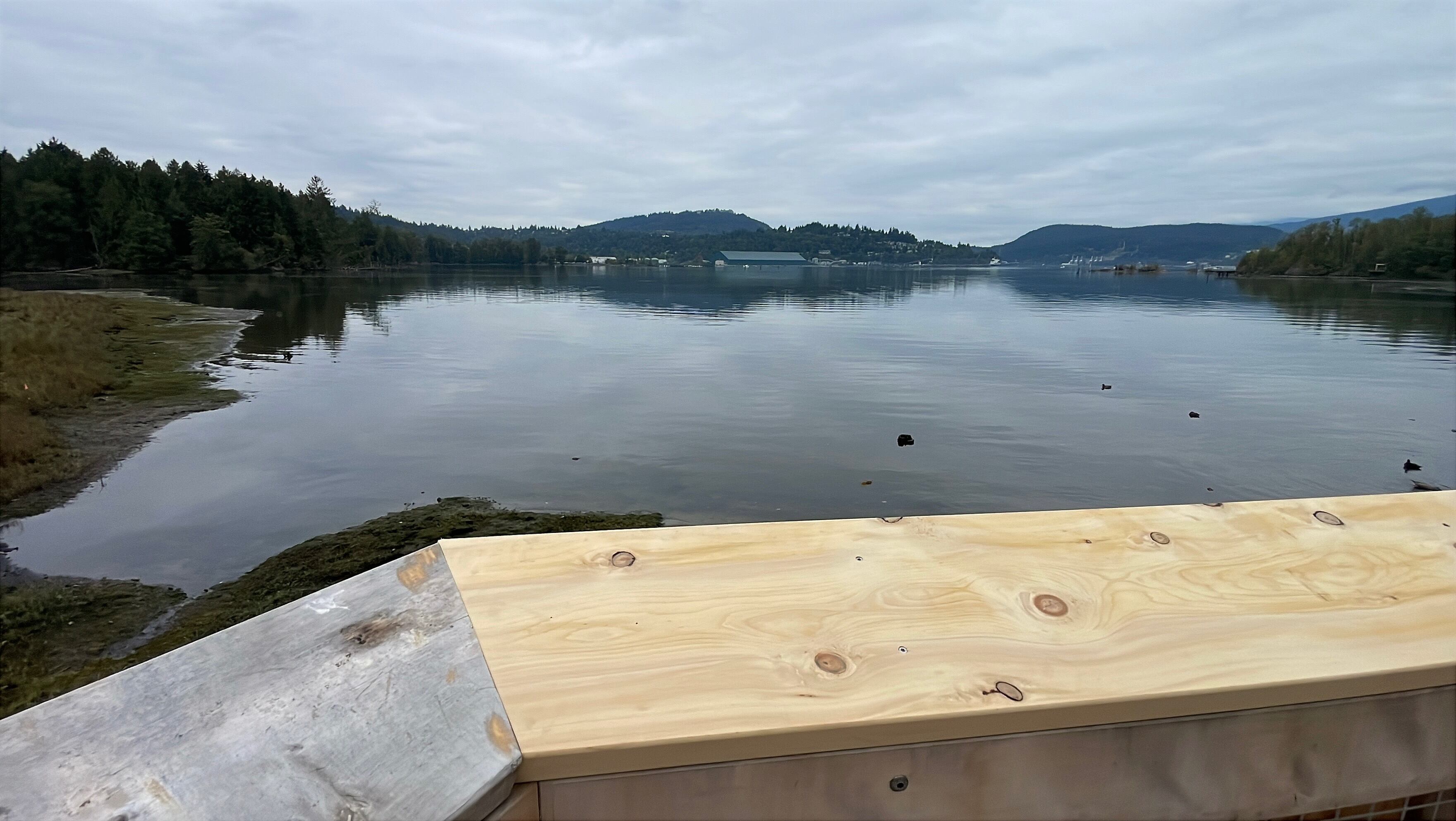 Shoreline Trail boardwalk