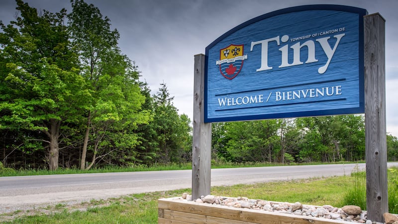 Bear dies after being struck by vehicle in Tiny Township