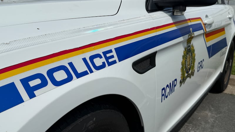 2 youths face charges after N.S. business sustains hundreds of thousands of dollars in damage