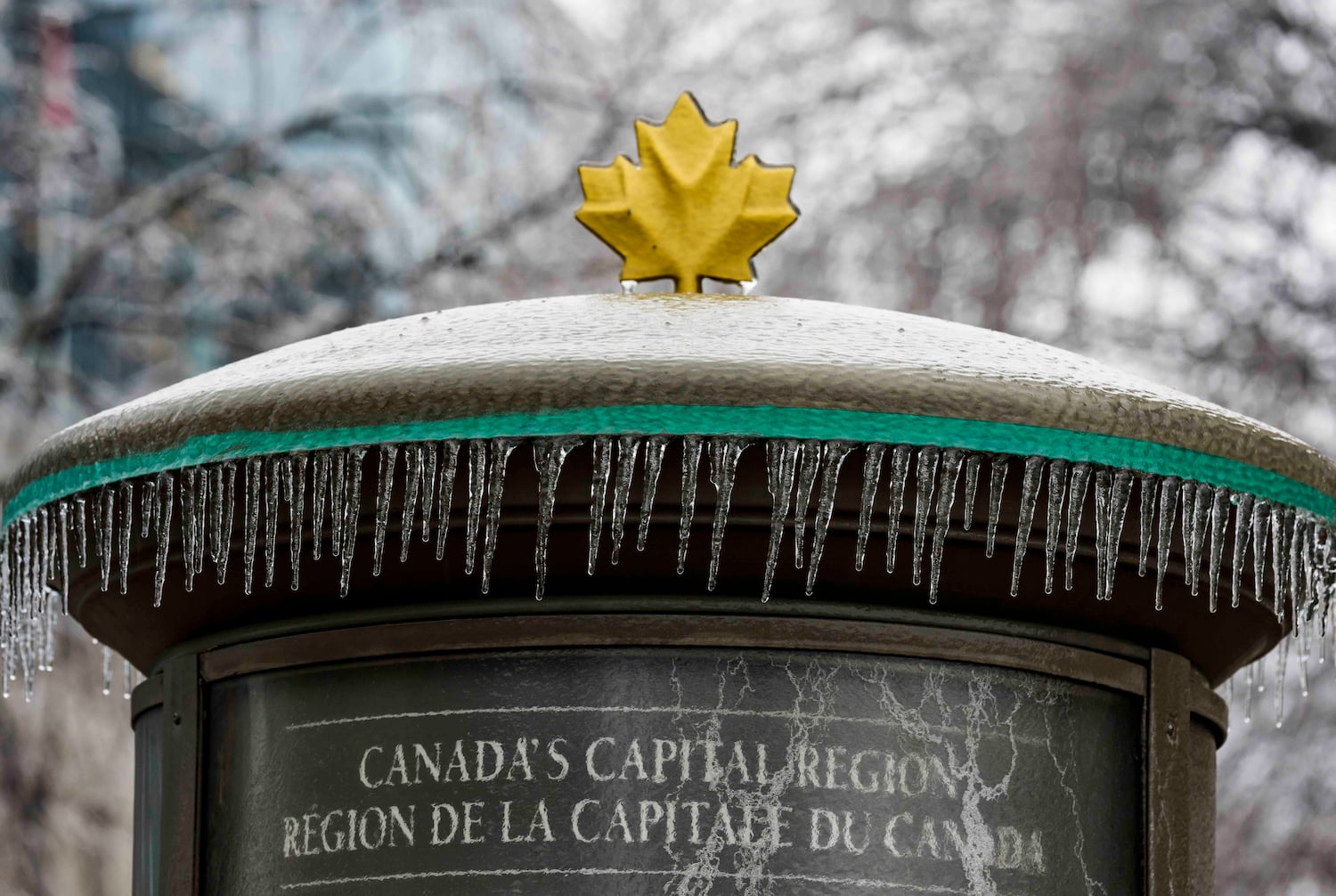 IN PHOTOS: Freezing rain in Ottawa – CTVNews