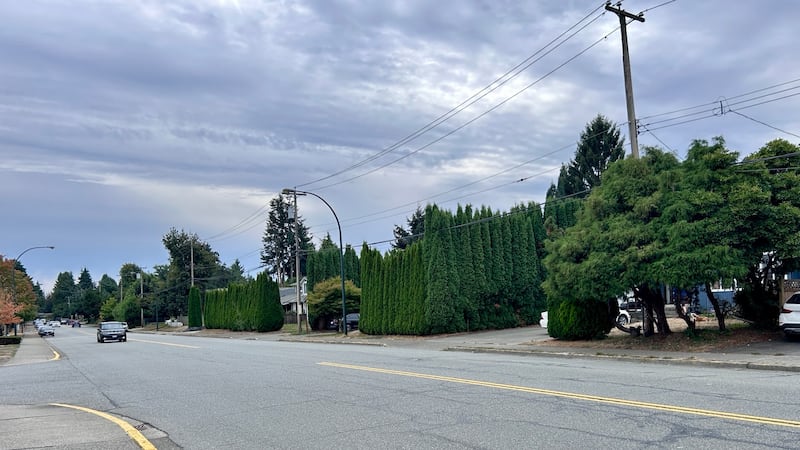 Person taken into custody after barricading incident in North Delta: police