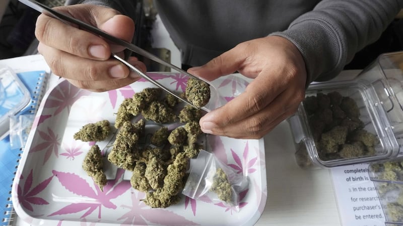 Mounties say there's no evidence supporting some new N.S. government cannabis claims