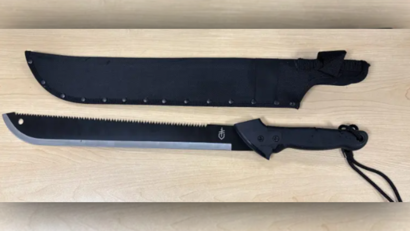 16-year-old boy charged in machete incident at Georgian Mall