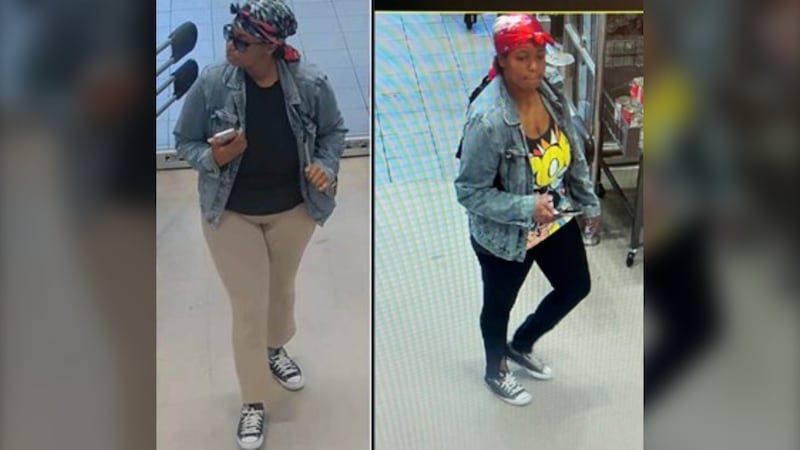 Woman charged after allegedly stealing handbags, purses from seniors in North York