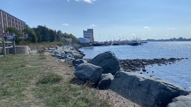 Developer added as respondent in Dartmouth Cove infilling judicial review