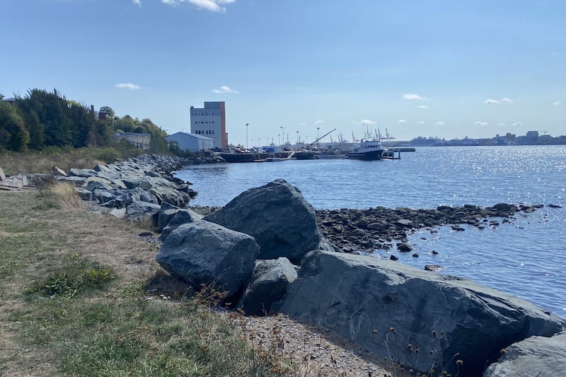 Developer added as respondent in Dartmouth Cove infilling judicial review