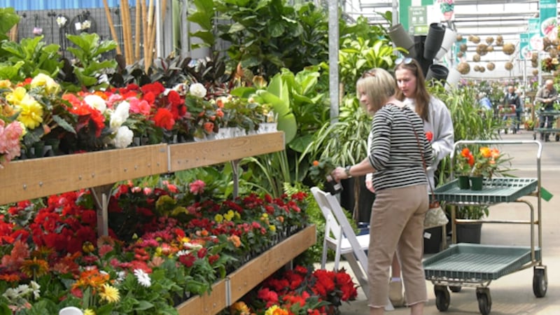 ‘We’re two weeks behind’: Saskatchewan gardeners struggle through late spring