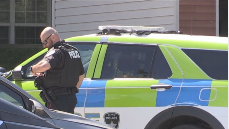 Dog attacks child and others in southwest Barrie neighbourhood