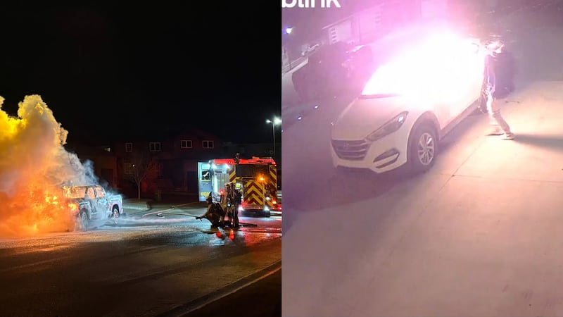 Suspect arrested in pair of dramatic Regina vehicle arsons