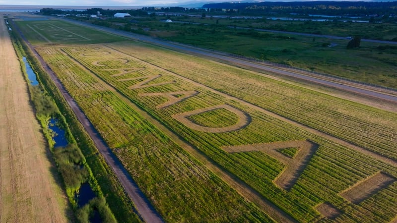 Vancouver airport workers cut welcome message for Team Canada in YVR grass